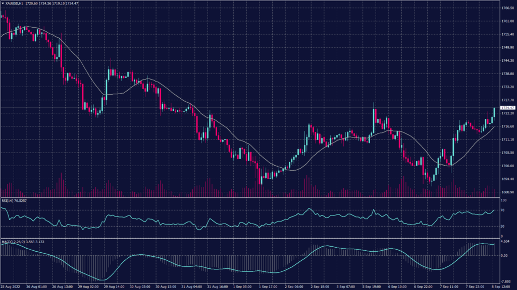 Spot gold chart showing a double bottom formation on the hourly chart which yet to be confirmed on the daily chart.